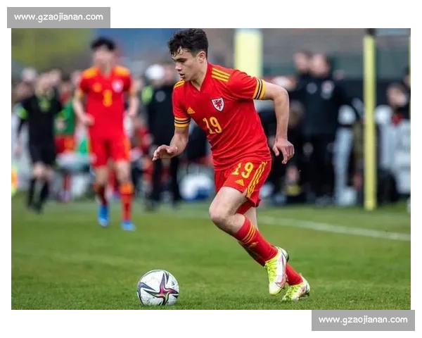 罗马诺确认：巴里 - 墨菲正式出任卡迪夫城主帅，签约三年